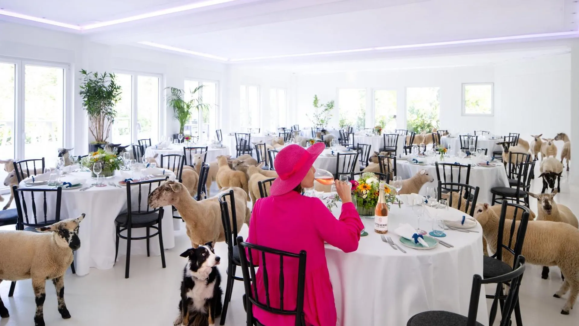 מלון ראטינגן Stuckhotel Fettehenne
